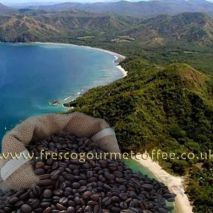 Costa Rican (Item ID:11241)